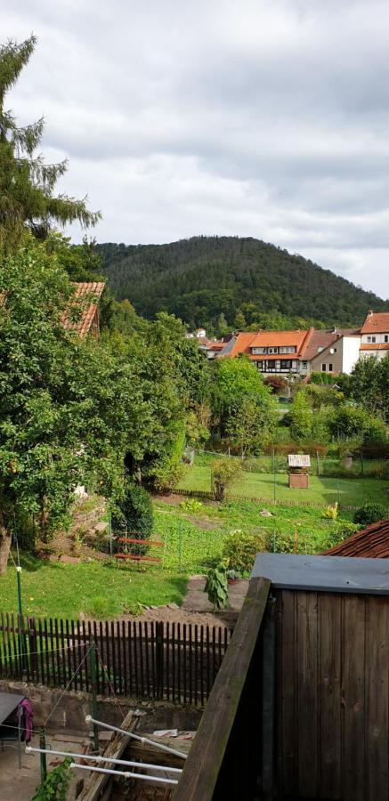 Ferienwohnung Silvia Bad Lauterberg Εξωτερικό φωτογραφία